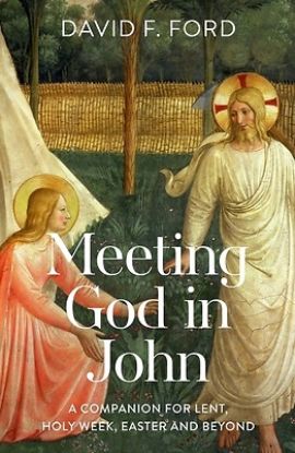 Picture of Meeting God in John