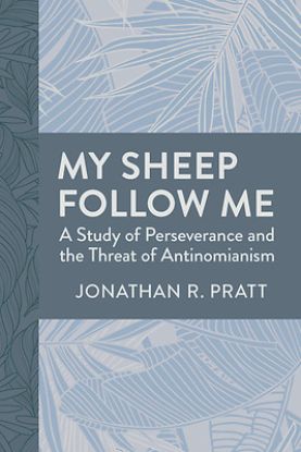 Picture of My Sheep Follow Me