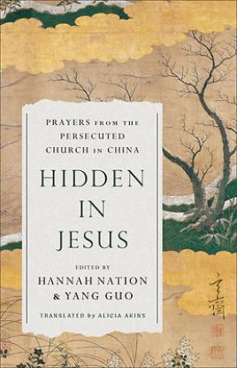 Picture of Hidden in Jesus