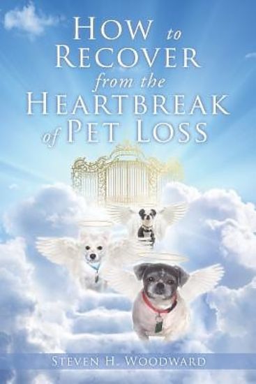 Picture of How to Recover from the Heartbreak of Pet Loss