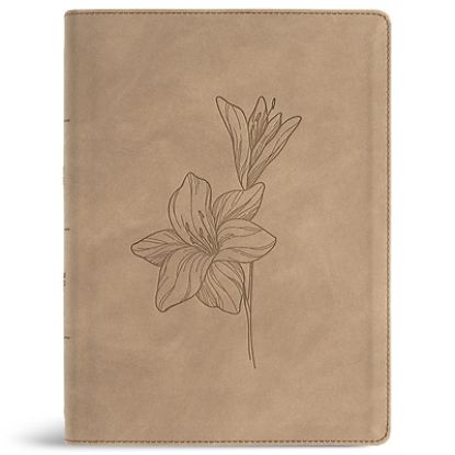 Picture of CSB Verse-By-Verse Reference Bible, Digital Study Edition, Earth Suedesoft Leathertouch