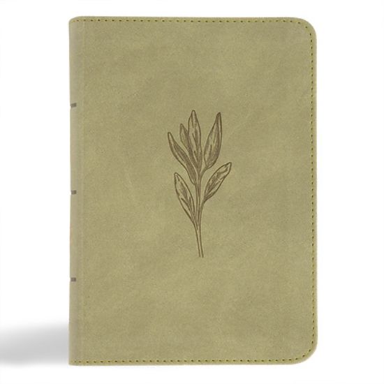 Picture of NASB Large Print Compact Reference Bible, Sage Suedesoft Leathertouch