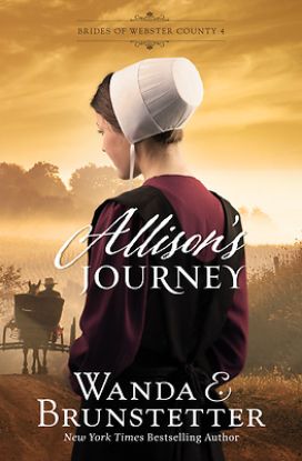 Picture of Allison's Journey