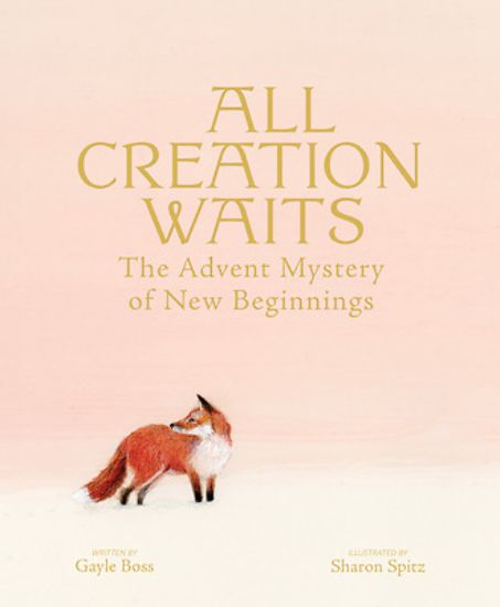 Picture of All Creation Waits -- Deluxe Edition