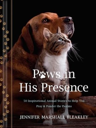 Picture of Paws in His Presence