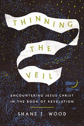 Picture of Thinning the Veil