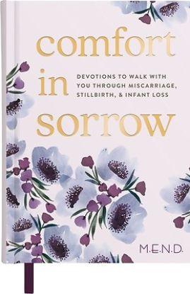 Picture of Comfort in Sorrow