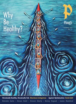 Picture of Plough Quarterly No. 44 - Why We Work