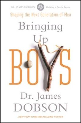 Picture of Bringing Up Boys - eBook [ePub]