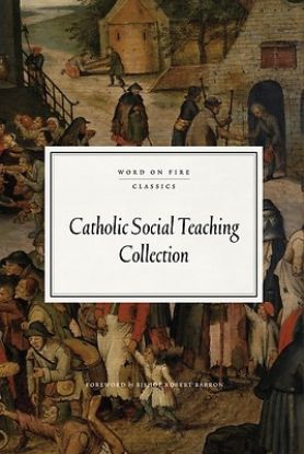 Picture of Catholic Social Teaching Collection
