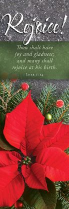 Picture of Rejoice! Christmas 2' X 6' Fabric Banner
