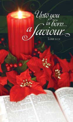 Picture of Unto You is Born a Savior Christmas 3' X 5' Fabric Banner