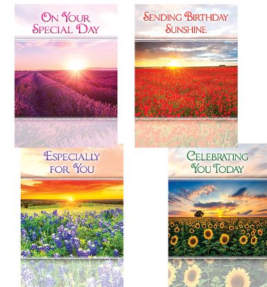 Picture of Birthday Sunshine Birthday Cards - Box of 12