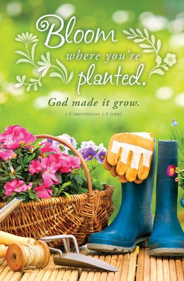 Picture of Spring Bloom Where You're Planted Bulletin
