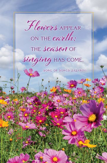 Picture of Spring Flowers Appear on the Earth Bulletin
