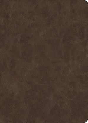 Picture of CSB Lumen Dei Bible, Lux Verbi