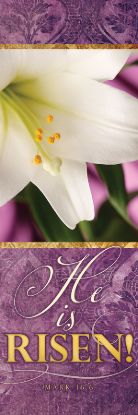 Picture of He is Risen! Hanging Easter Banner
