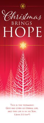 Picture of Christmas Brings Hope 2' x 6' Vinyl Banner 1 John 5:11 NIV