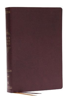 Picture of Peace of God Bible