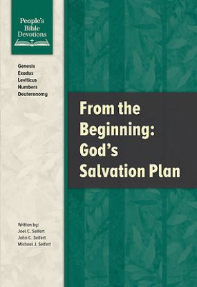 Picture of From the Beginning - God's Salvation Plan
