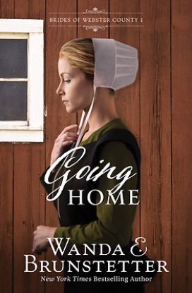 Picture of Going Home
