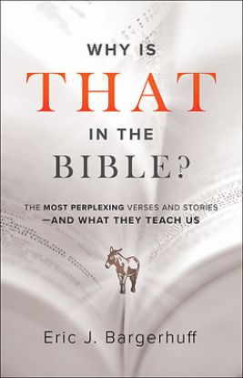 Picture of Why Is That in the Bible?