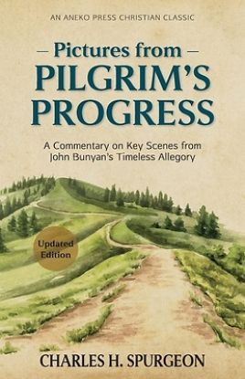 Picture of Pictures from Pilgrim's Progress