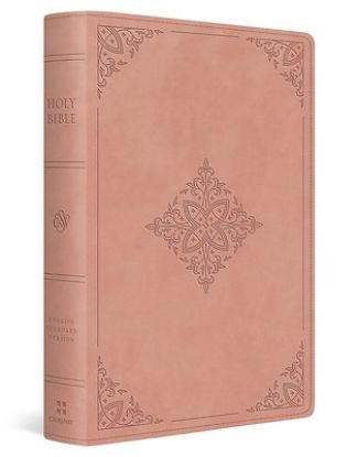 Picture of ESV Holy Bible