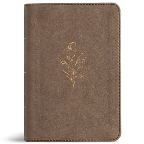 Picture of KJV Large Print Compact Reference Bible, Clay Leathertouch