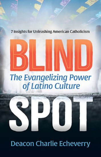 Picture of Blind Spot
