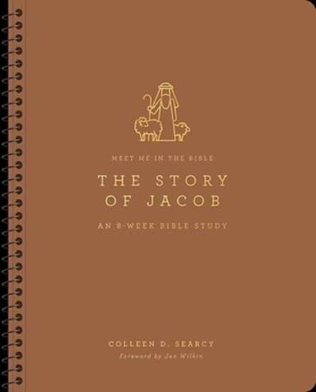 Picture of The Story of Jacob