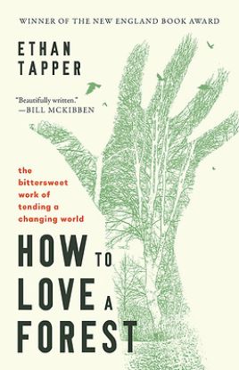 Picture of How to Love a Forest