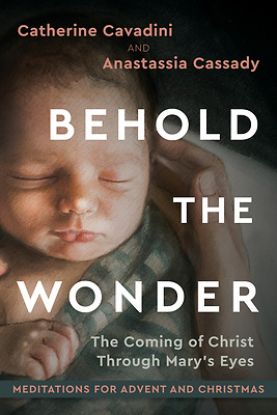 Picture of Behold the Wonder