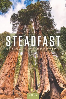 Picture of Steadfast 2027