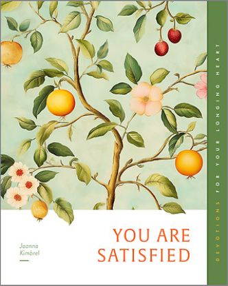 Picture of You Are Satisfied