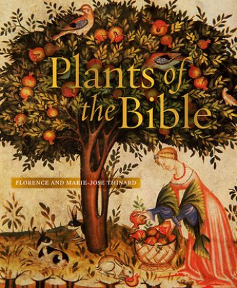 Picture of Plants of the Bible
