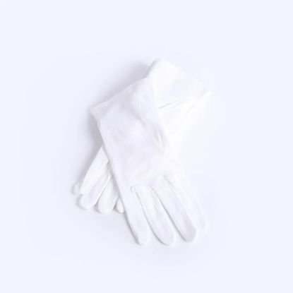 Picture of Glove White Plain Large