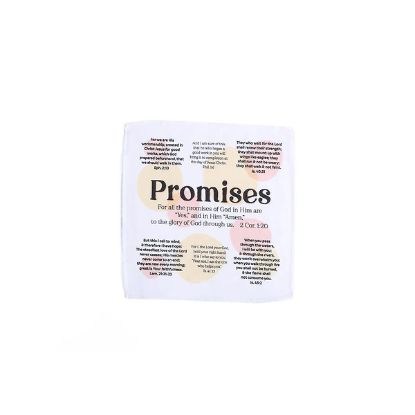 Picture of Prayers in My Pocket Promises 8X8 6CT