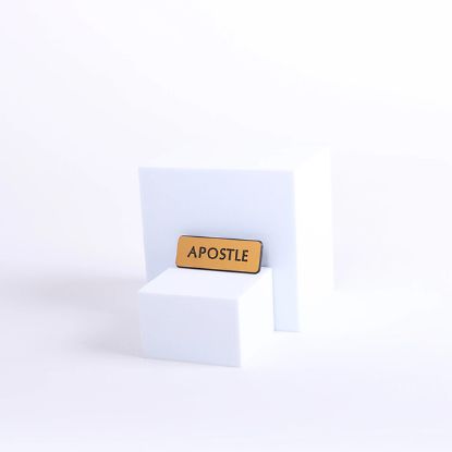 Picture of Badge Engraved Contemporary Apostle Gold Pin