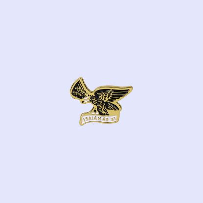 Picture of Lapel Pin Isaiah 40:31 PK3