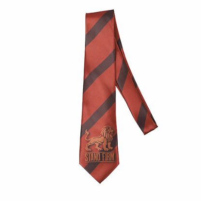 Picture of Tie Polyester Stand Firm