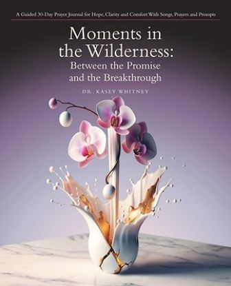 Picture of Moments in the Wilderness