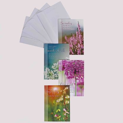 Picture of Boxed Cards Encouragement Day by Day 12CT