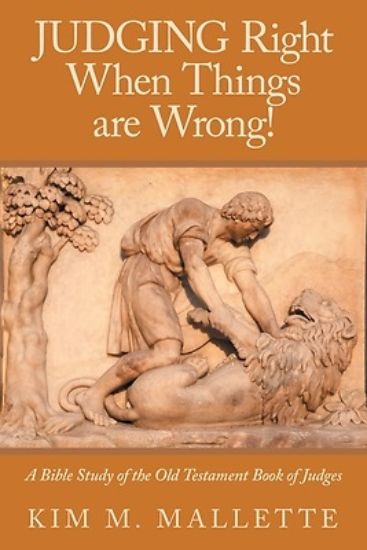 Picture of JUDGING Right When Things are Wrong!