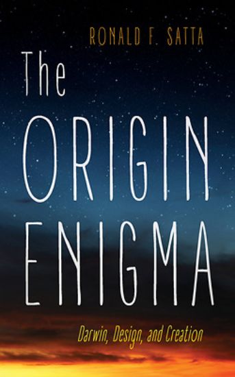 Picture of The Origin Enigma