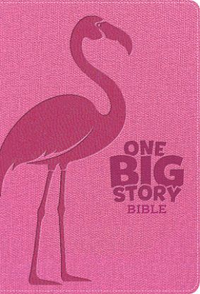 Picture of KJV One Big Story Bible, Revised & Updated, Easy-To-Read Optimal Type, Pink Leathertouch, Indexed