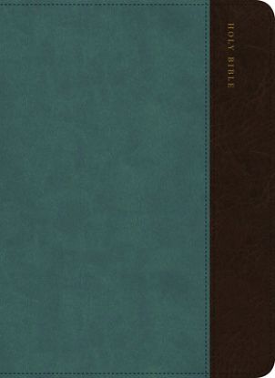 Picture of CSB Large Print Compact Reference Bible, Digital Study Edition, Easy-To-Read Optimal Type, Slate/Brown Leathertouch, Zipper Edition