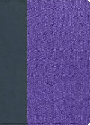 Picture of CSB Study Bible, Large Print, Digital Study Edition, Gray/Lavender Leathertouch, Indexed
