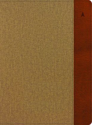 Picture of CSB Study Bible, Large Print, Digital Study Edition, Khaki/Brown Leathertouch, Indexed