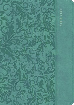 Picture of CSB Study Bible, Personal Size, Digital Study Edition, Earthen Teal Leathertouch